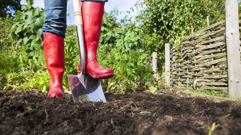 My Garden Zones Revolution: How I Turned My Patch into a Proper Holiday Escape